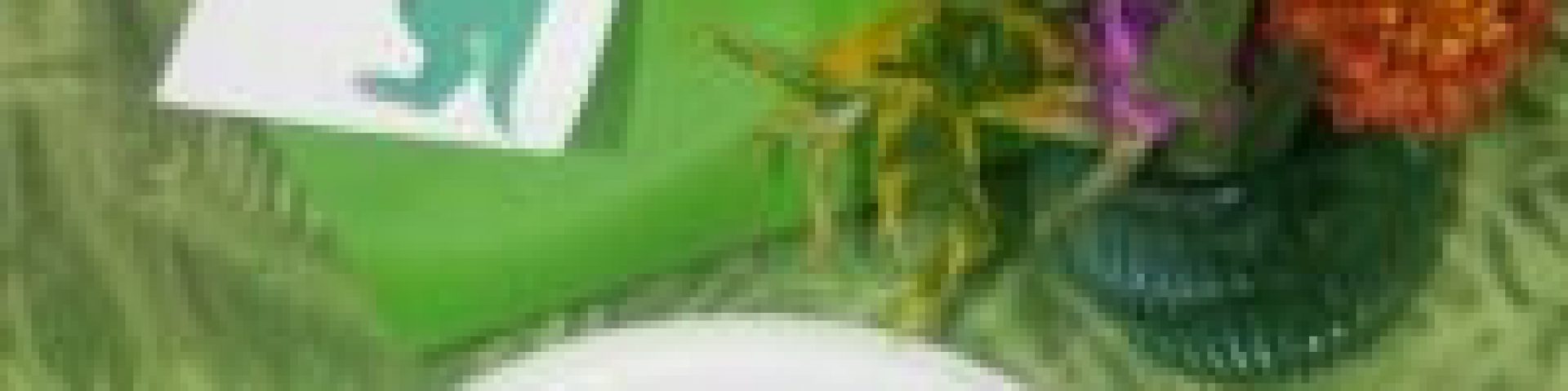 IMG 9891 800x533 200x300