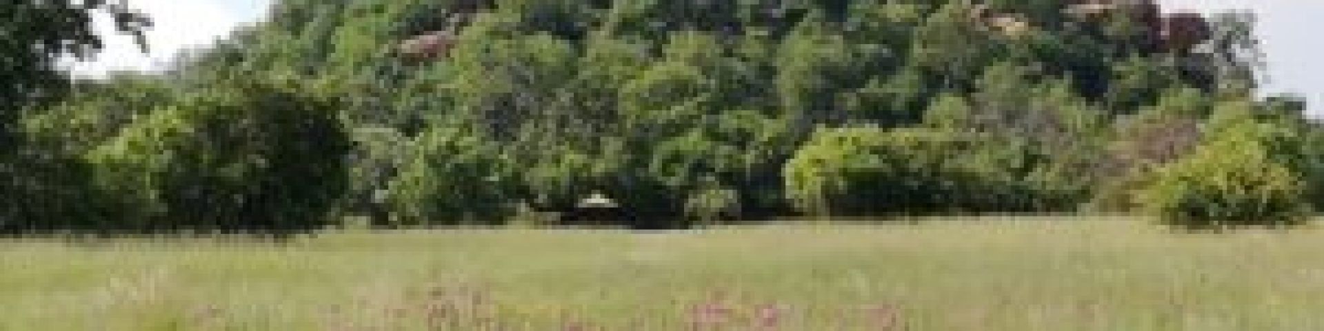 Lonehill tor 300x225